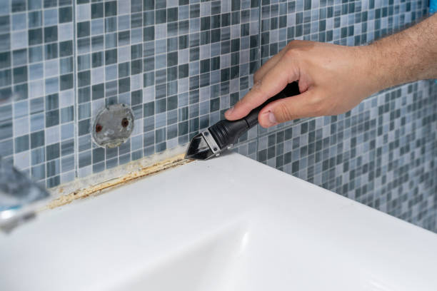 Best Mold Remediation for Specific Building Types in Withamsville, OH